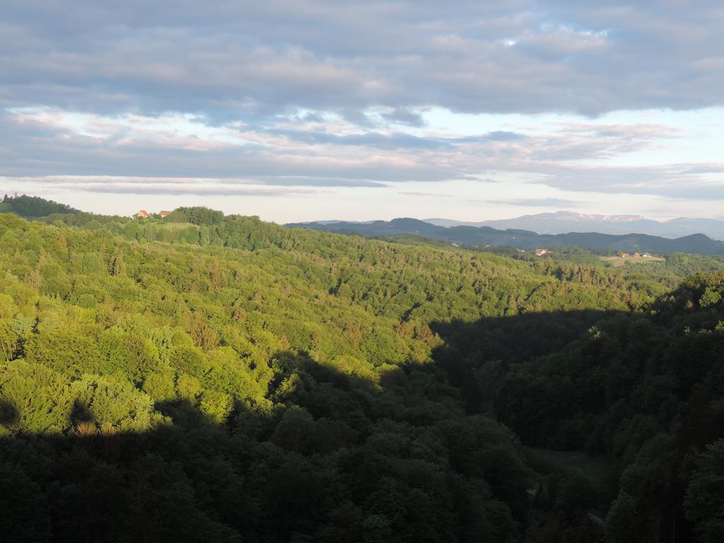 Weingut Gaestezimmer Gruber เอห์เรนเฮาเซน ภายนอก รูปภาพ