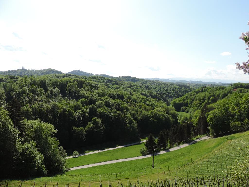 Weingut Gaestezimmer Gruber เอห์เรนเฮาเซน ภายนอก รูปภาพ
