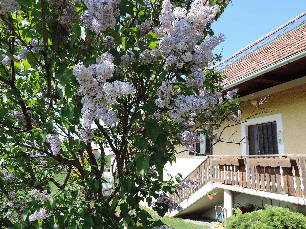 Weingut Gaestezimmer Gruber เอห์เรนเฮาเซน ห้อง รูปภาพ